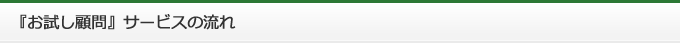 『お試し顧問』サービスの流れ